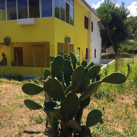 House With One Bedroom In Molinella With Enclosed Garden And Wifi 1 Km From The * Vieste